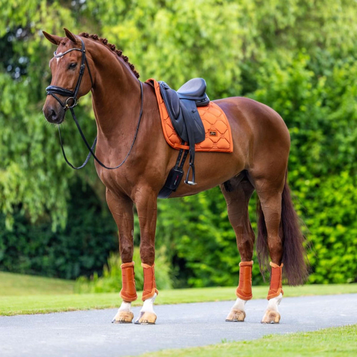 Equestrian Stockholm Schabracke Satin Dressur Chestnut