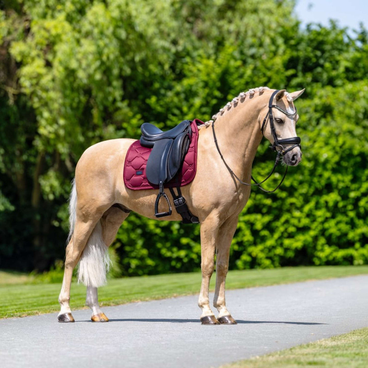 Equestrian Stockholm Schabracke Satin Dressur Merlot