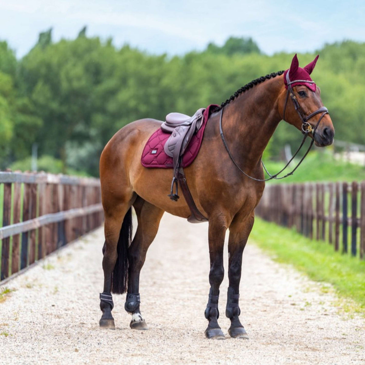 Equestrian Stockholm Fliegenhaube Satin Merlot