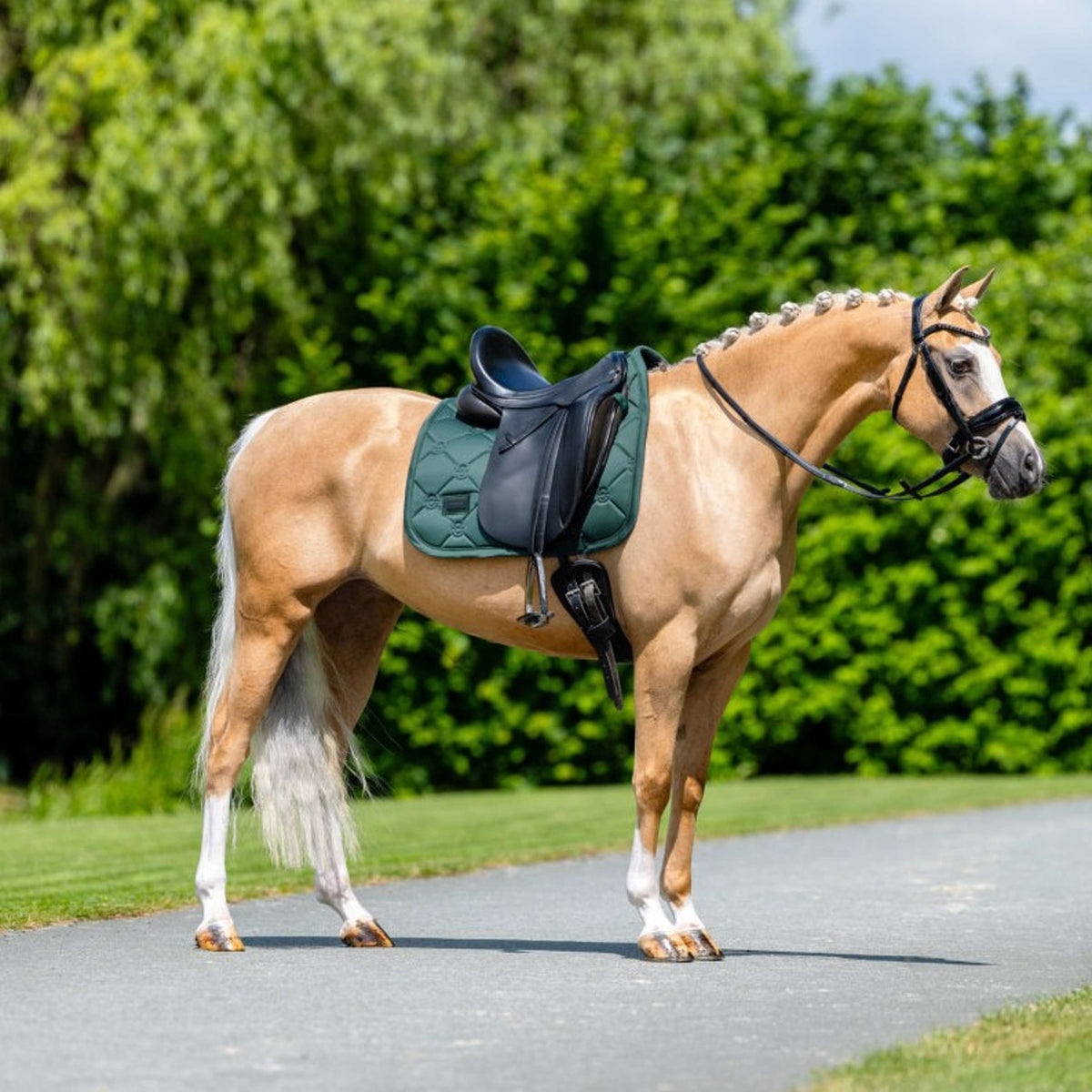 Equestrian Stockholm Schabracke Satin Dressur Sycamore Green