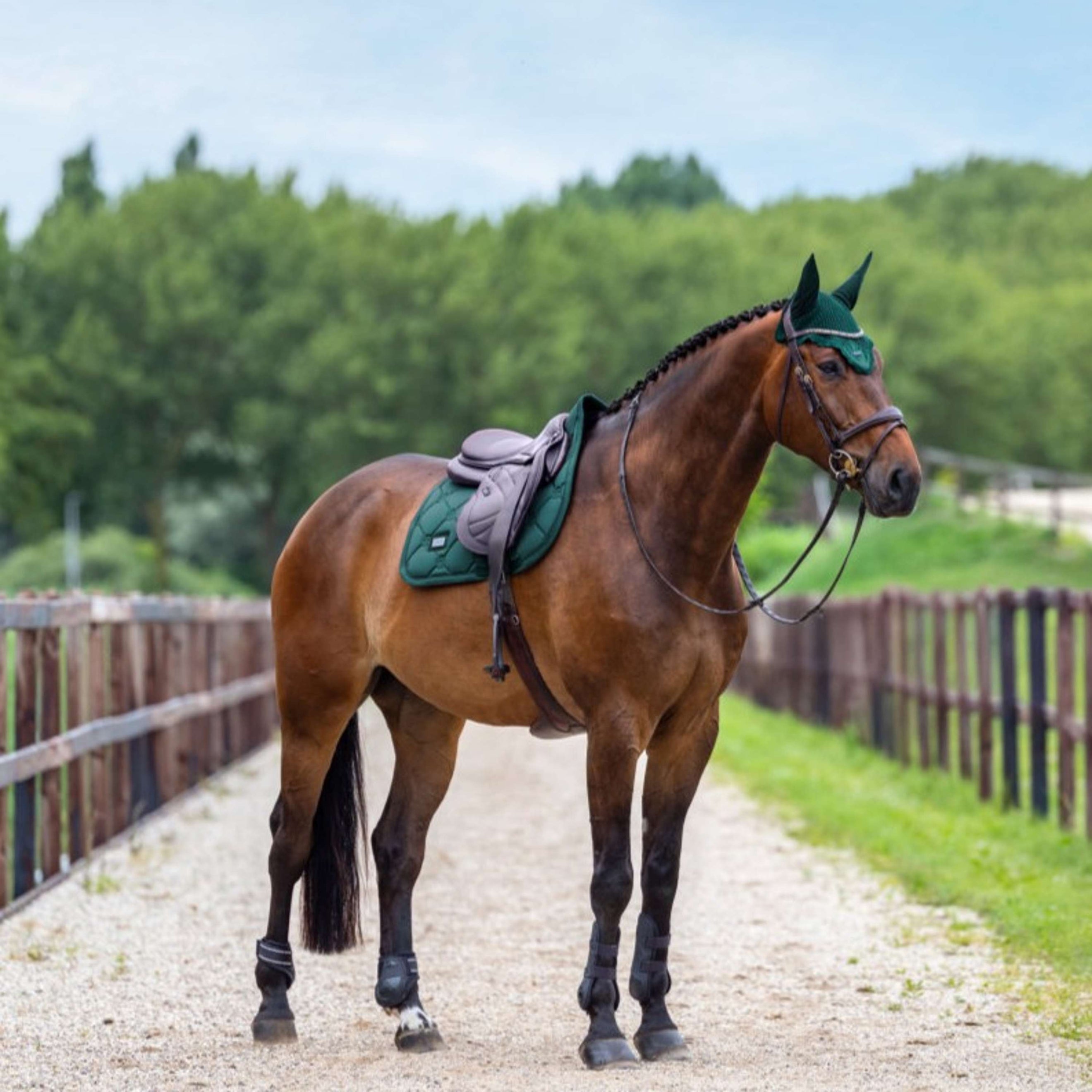 Equestrian Stockholm Schabracke Satin Springen Sycamore Green Equestrian Stockholm Schabracke Satin Springen Sycamore Green