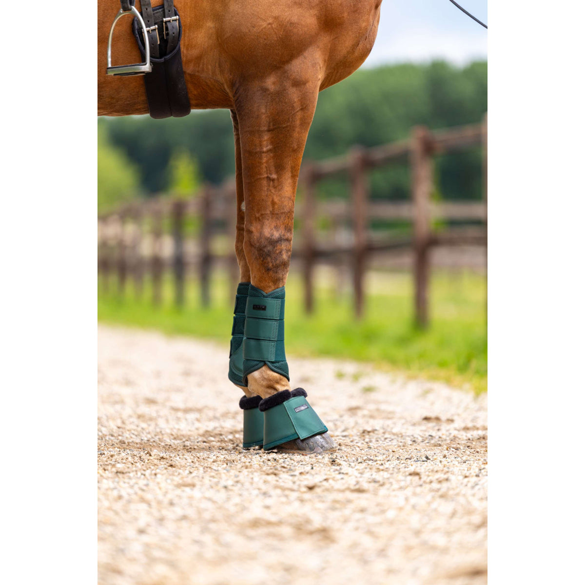 Equestrian Stockholm Hufglocken Sycamore Green