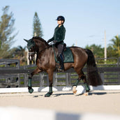 Equestrian Stockholm Hufglocken Sycamore Green