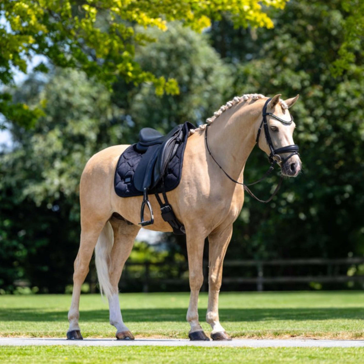 Equestrian Stockholm Schabracke Velvet Dressur Schwarz