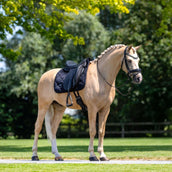 Equestrian Stockholm Schabracke Velvet Dressur Schwarz