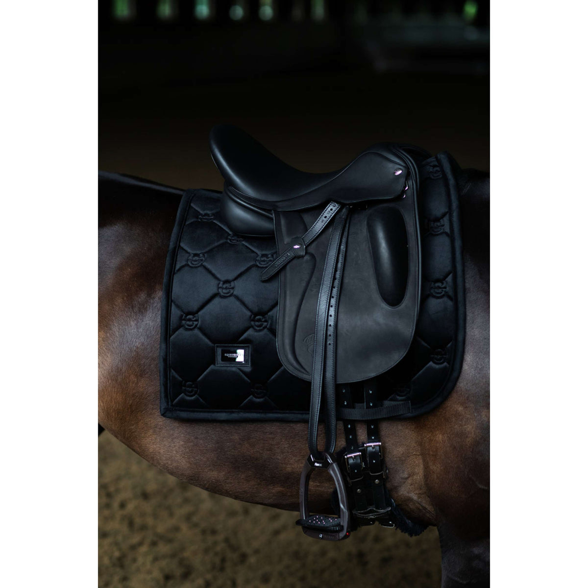 Equestrian Stockholm Schabracke Velvet Dressur Schwarz