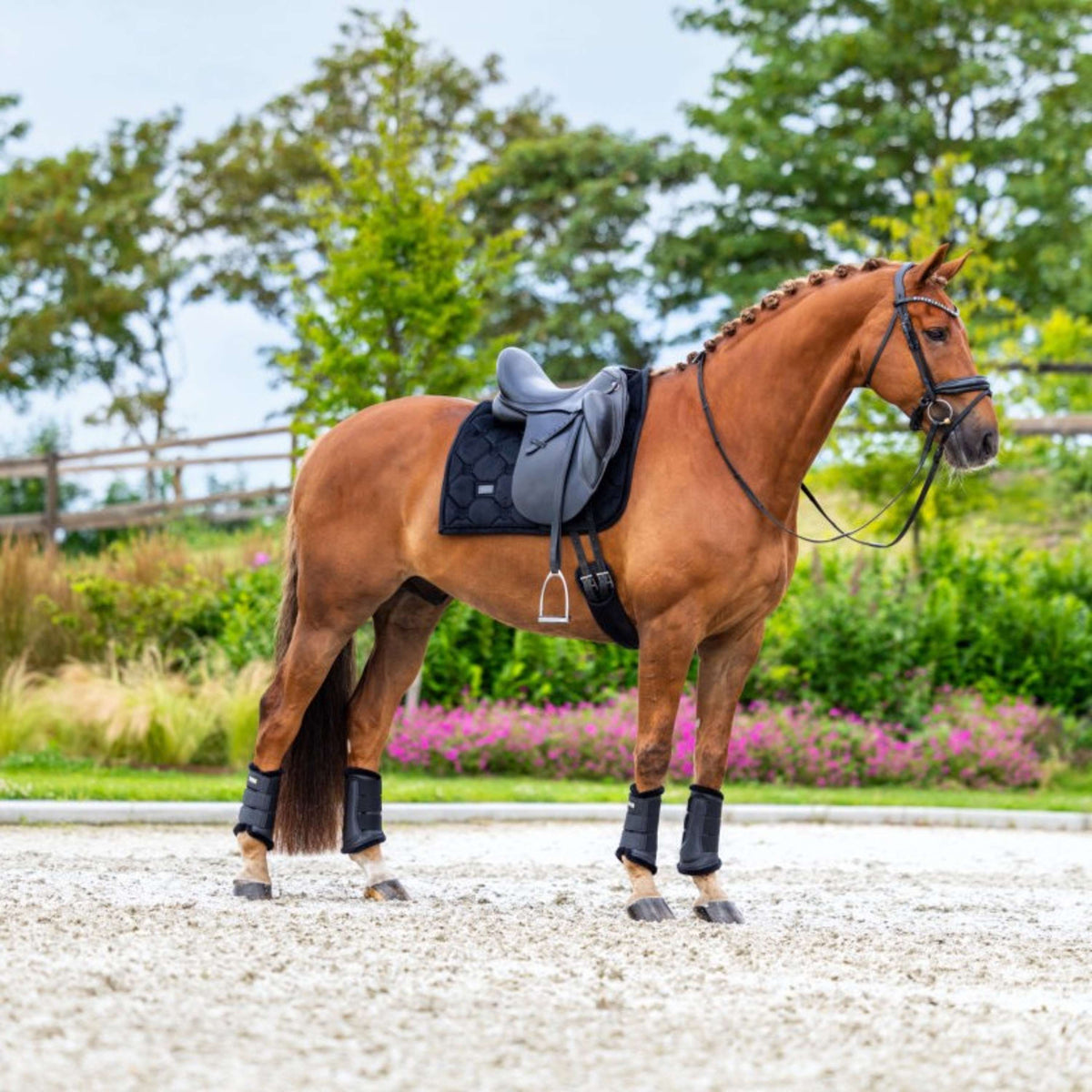 Equestrian Stockholm Schabracke Velvet Dressur Schwarz