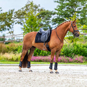 Equestrian Stockholm Schabracke Velvet Dressur Schwarz