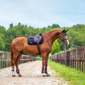 Equestrian Stockholm Schabracke Velvet Springen Schwarz