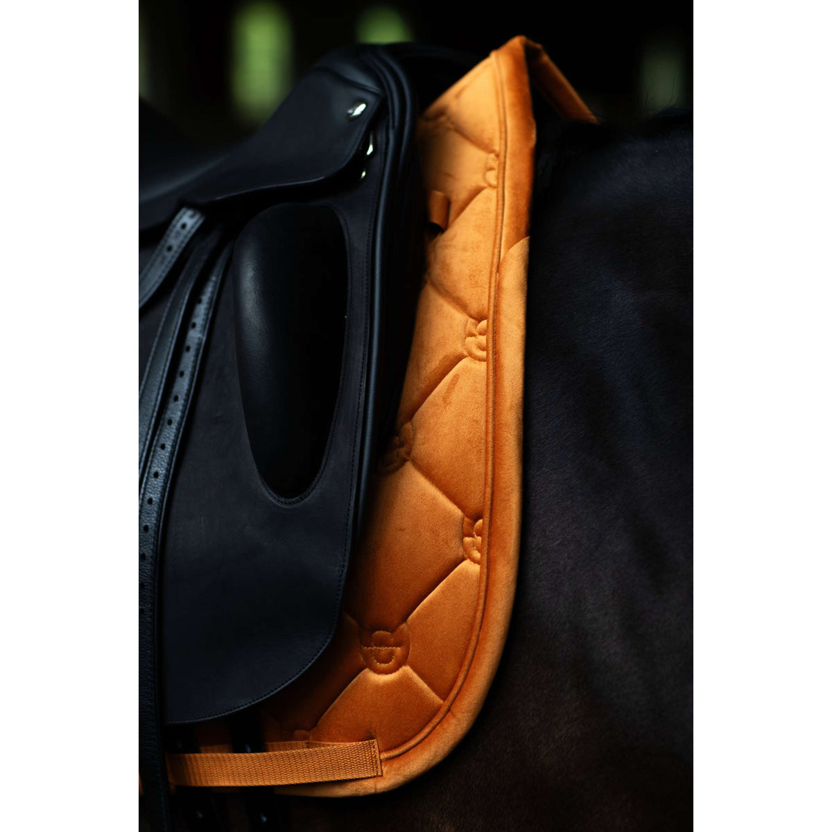 Equestrian Stockholm Schabracke Velvet Dressur Chestnut