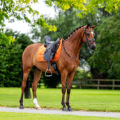 Equestrian Stockholm Schabracke Velvet Dressur Chestnut