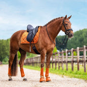 Equestrian Stockholm Hufglocken Chestnut