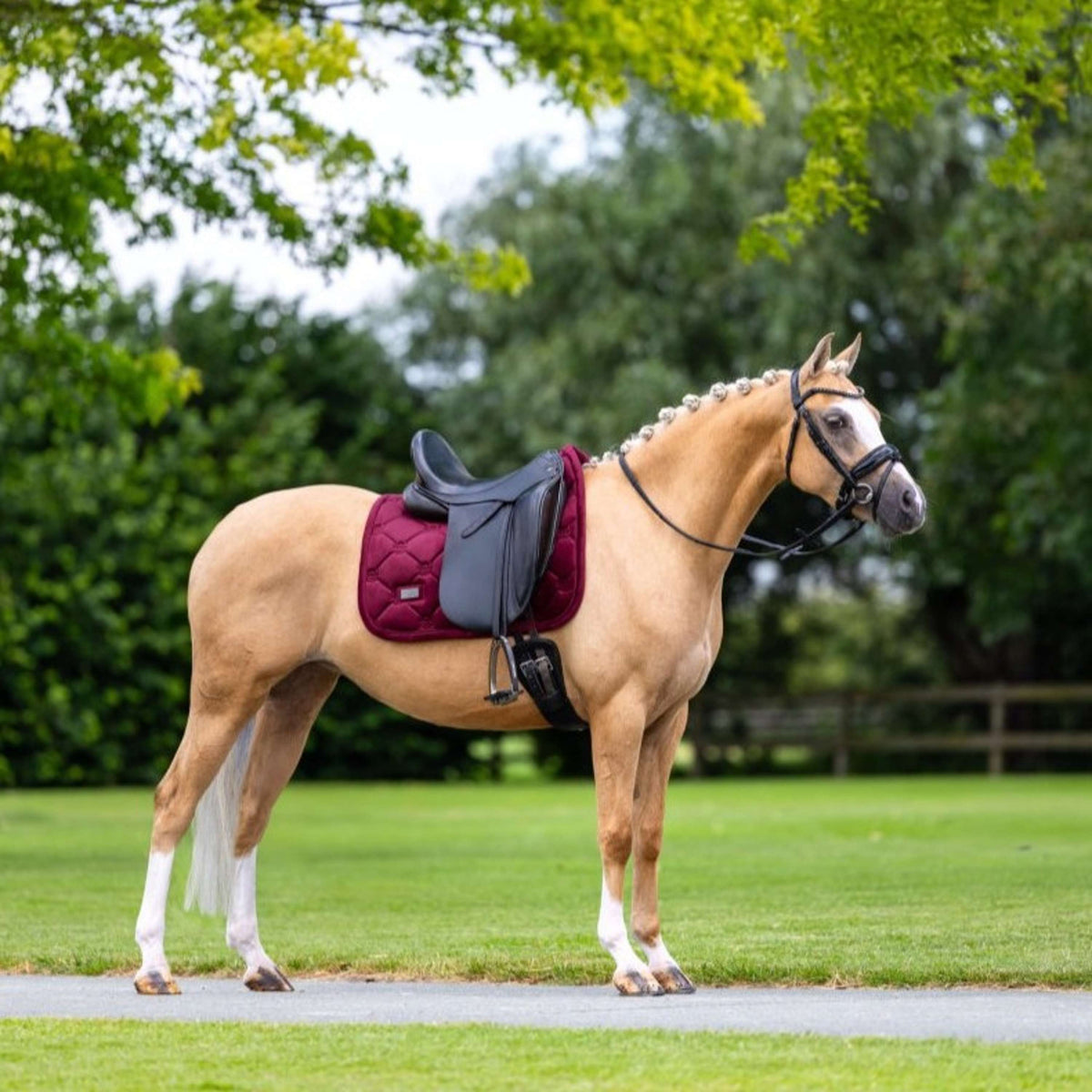 Equestrian Stockholm Schabracke Velvet Dressur Merlot