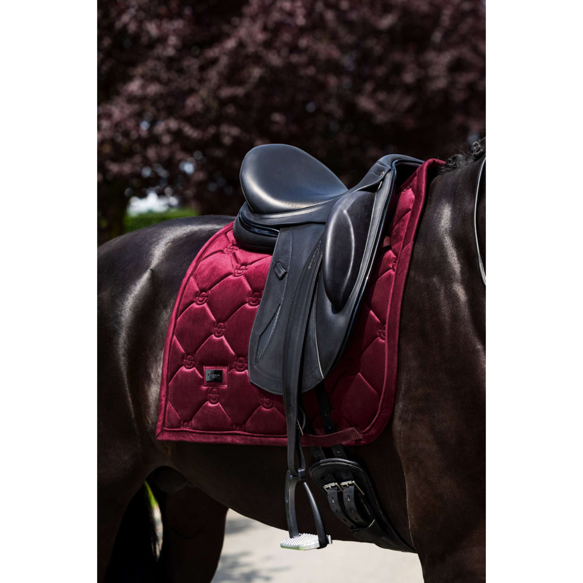 Equestrian Stockholm Schabracke Velvet Dressur Merlot