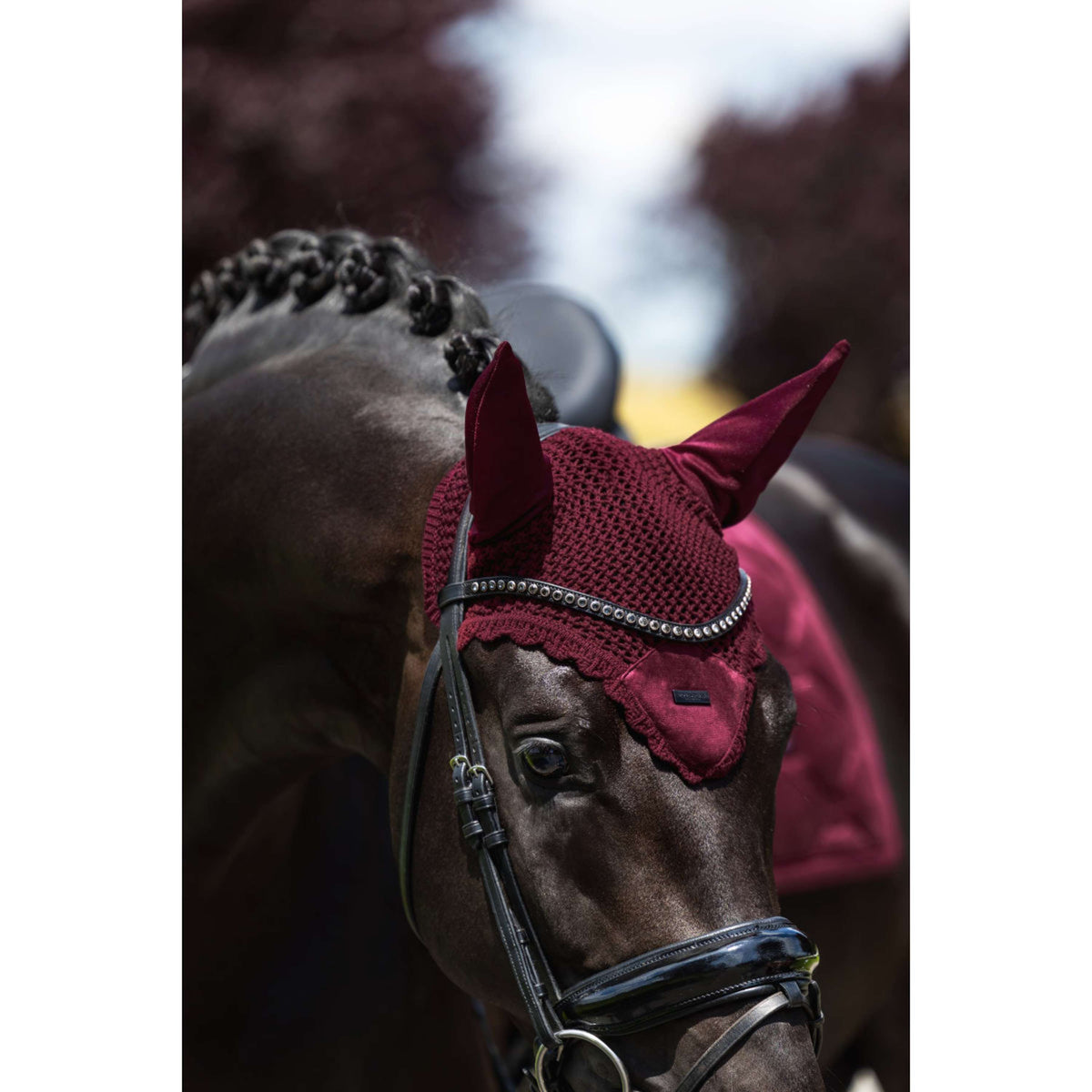 Equestrian Stockholm Fliegenhaube Velvet Merlot