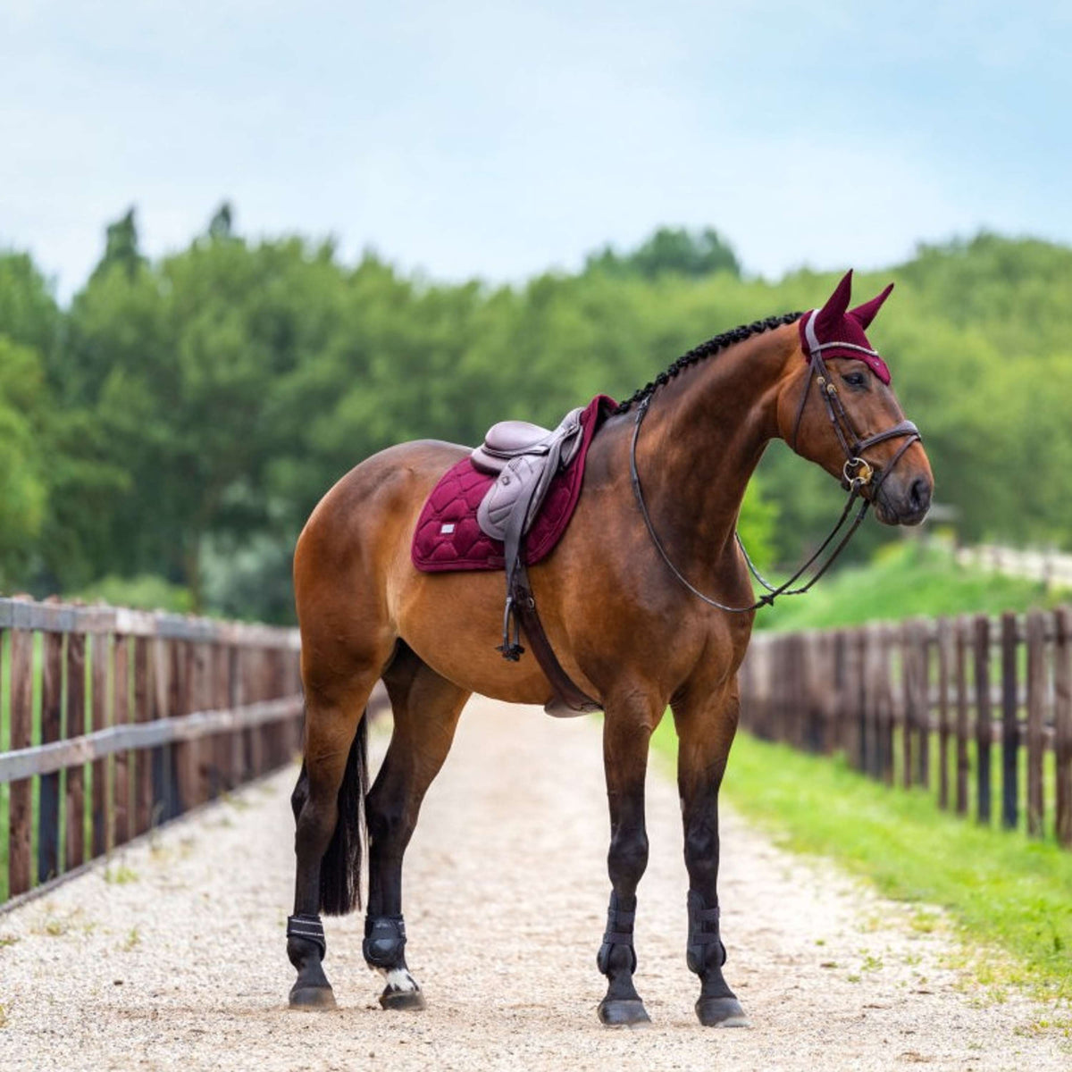 Equestrian Stockholm Fliegenhaube Velvet Merlot