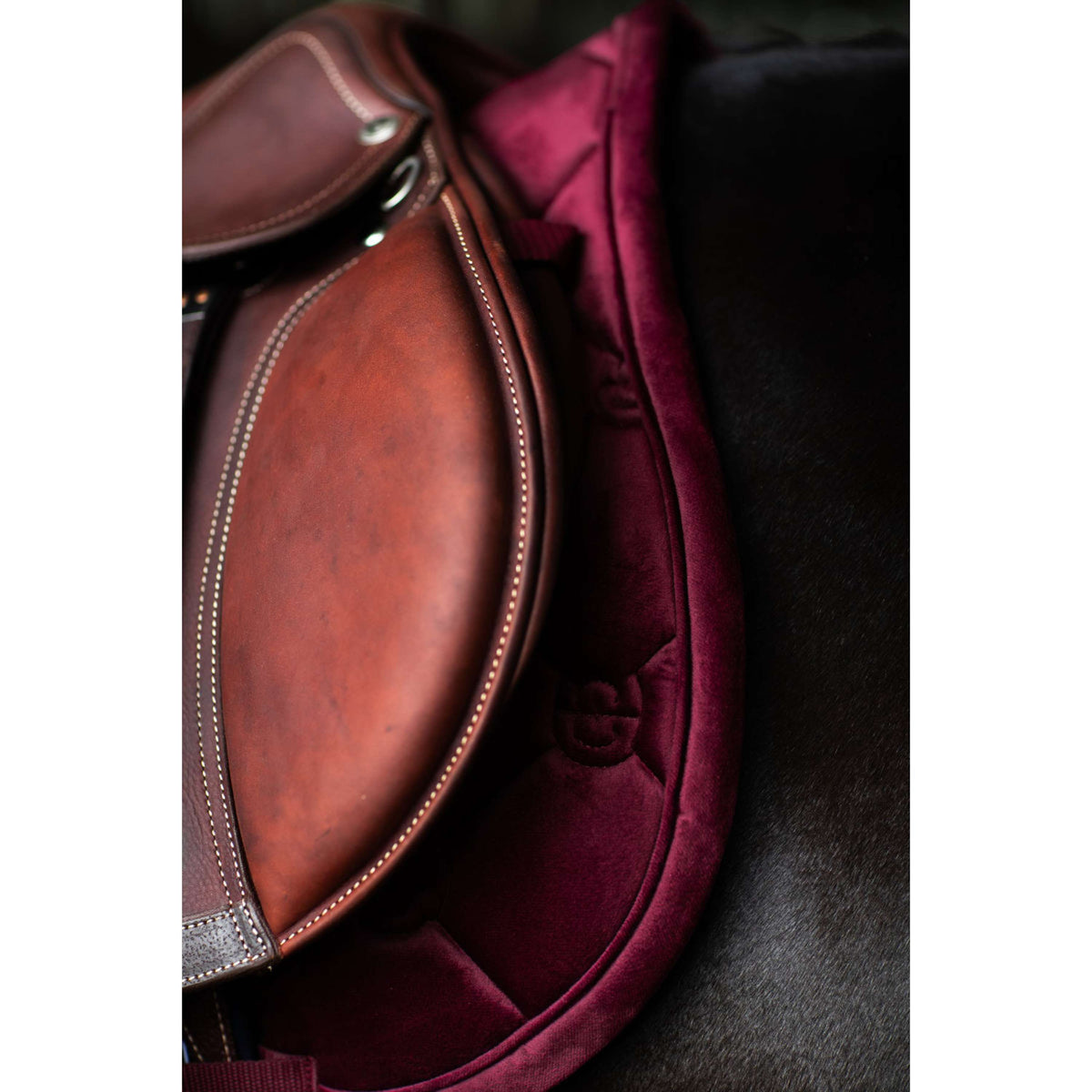 Equestrian Stockholm Schabracke Velvet Springen Merlot