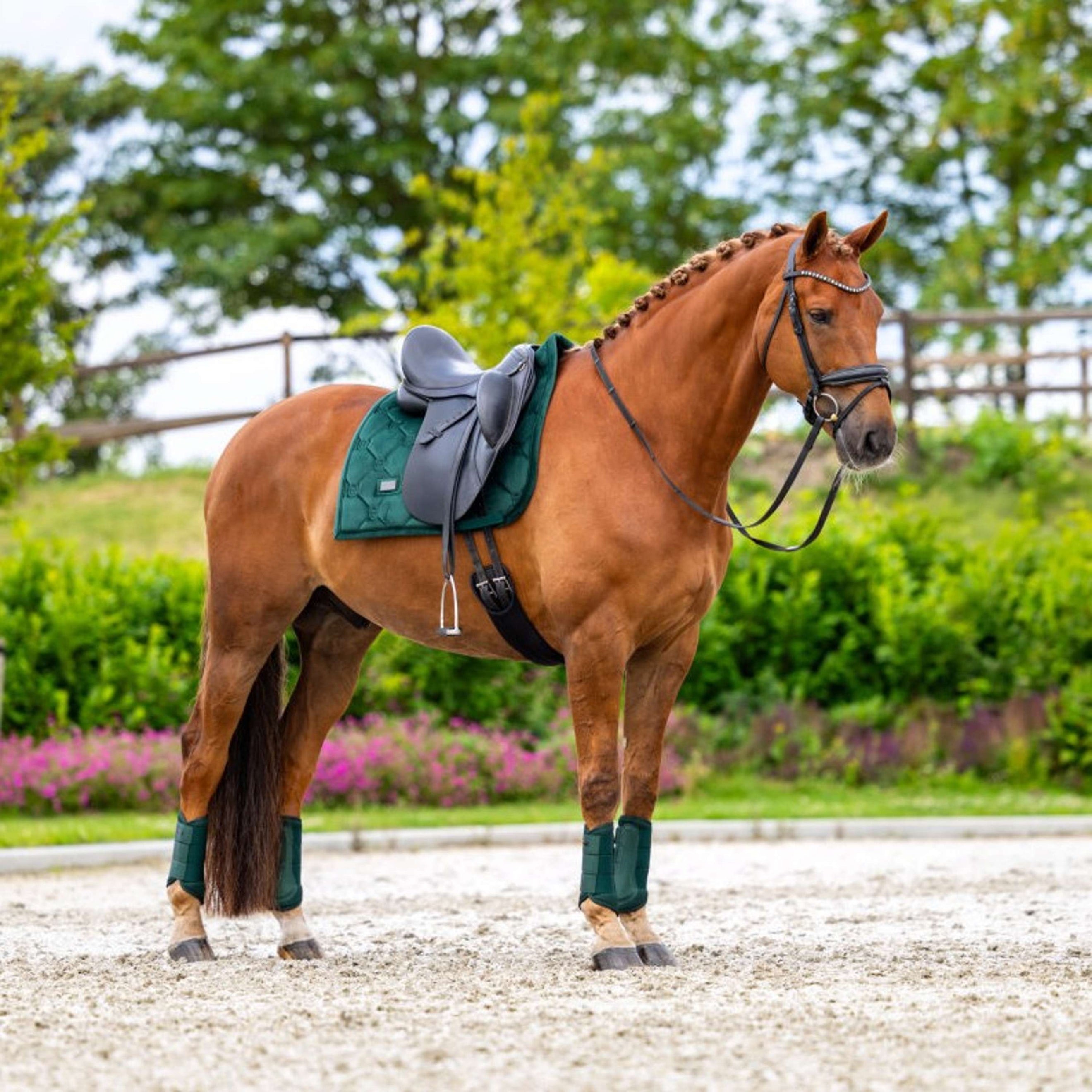 Equestrian Stockholm Schabracke Velvet Dressur Sycamore Green