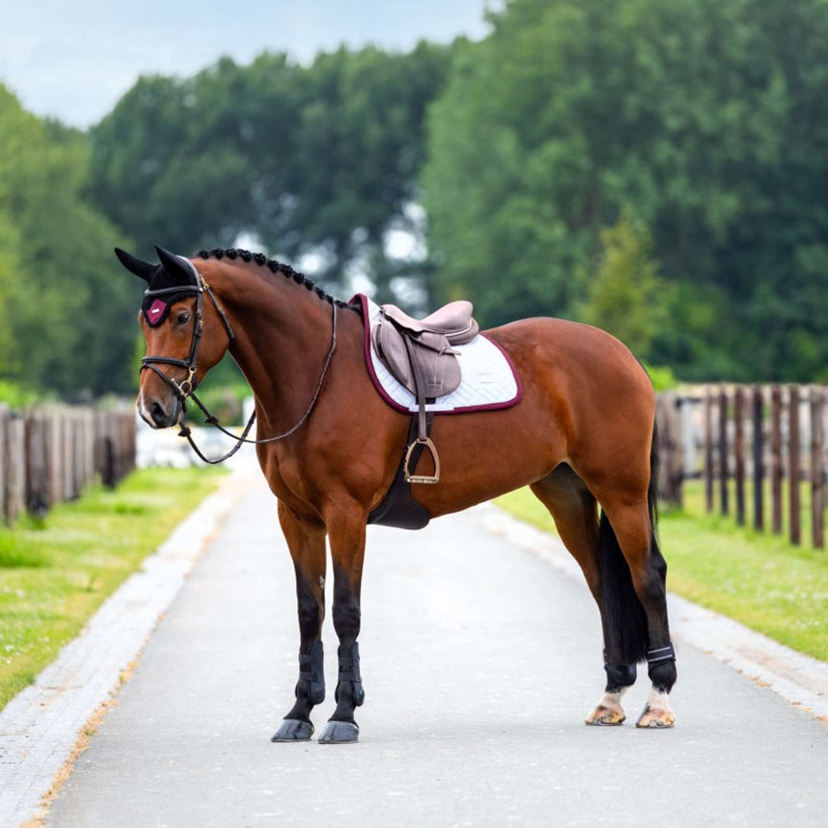 Equestrian Stockholm Schabracke Modern Springen Weiß/Merlot