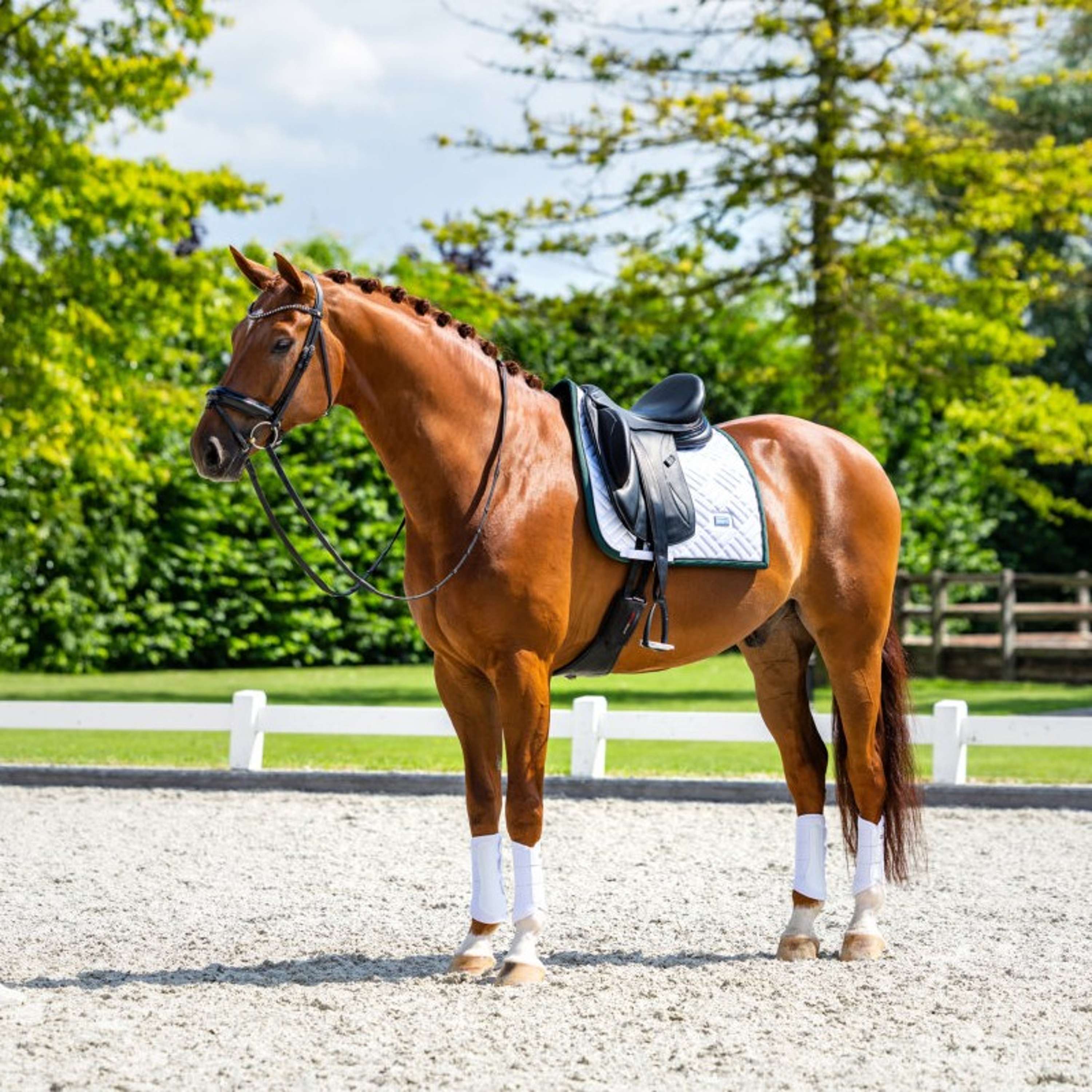 Equestrian Stockholm Schabracke Modern Dressur Weiß/Sycamore Green