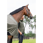 Eskadron Turnout Rug Classic Sports Light Dusty Olive