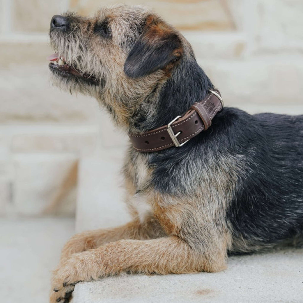 Hunter x Eskadron Hundehalsband Craft Dunkelbraun