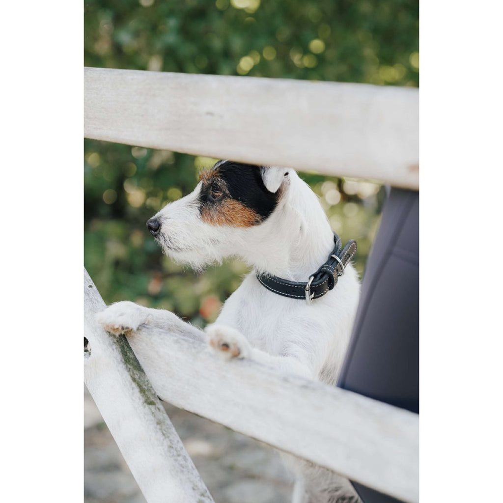 Hunter x Eskadron Hundehalsband Craft Schwarz