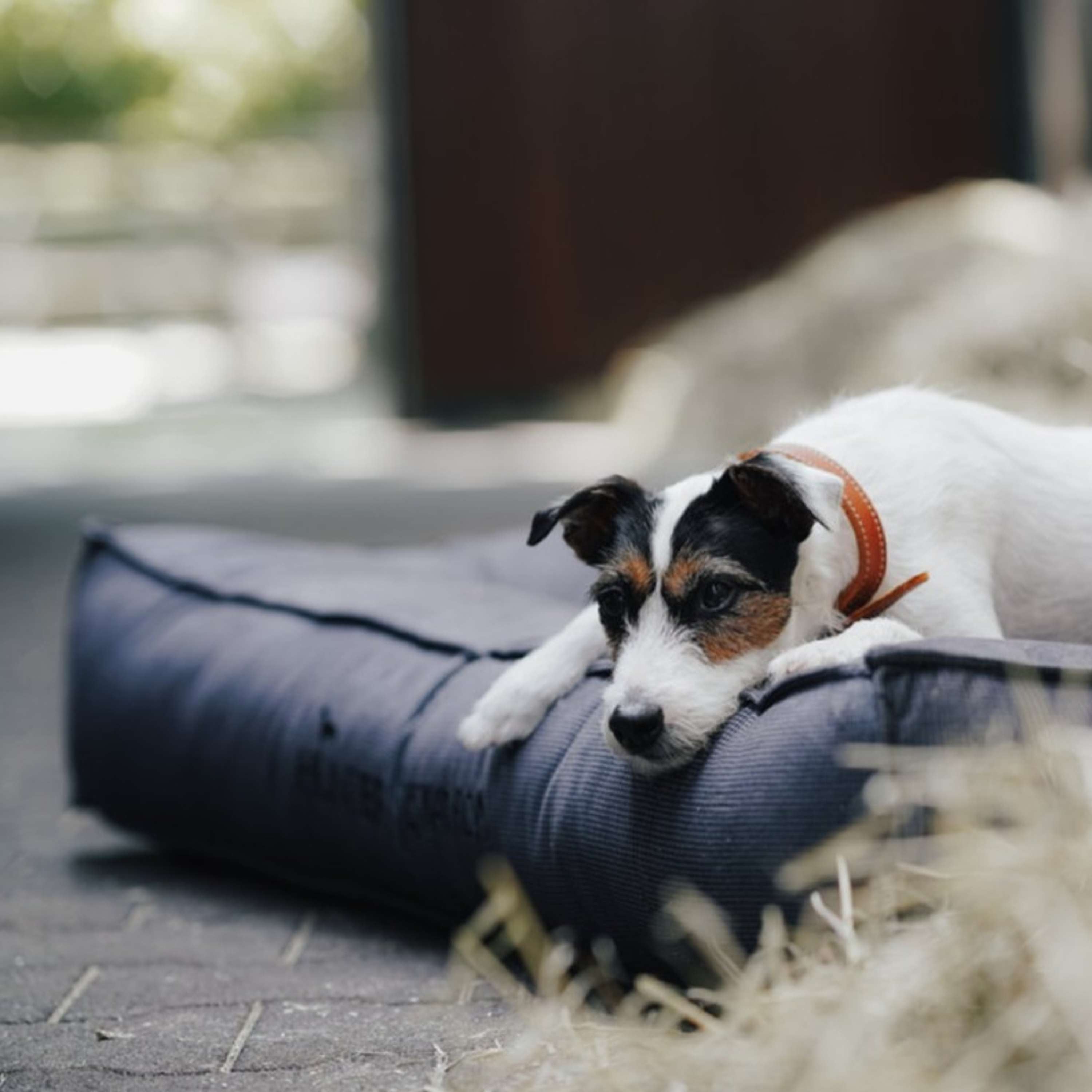 Hunter x Eskadron Hundebett Chester Anthrazit kariert