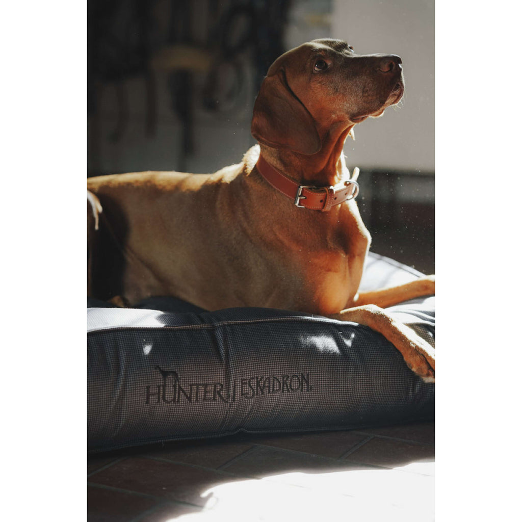 Hunter x Eskadron Hundehalsband Craft Cognac