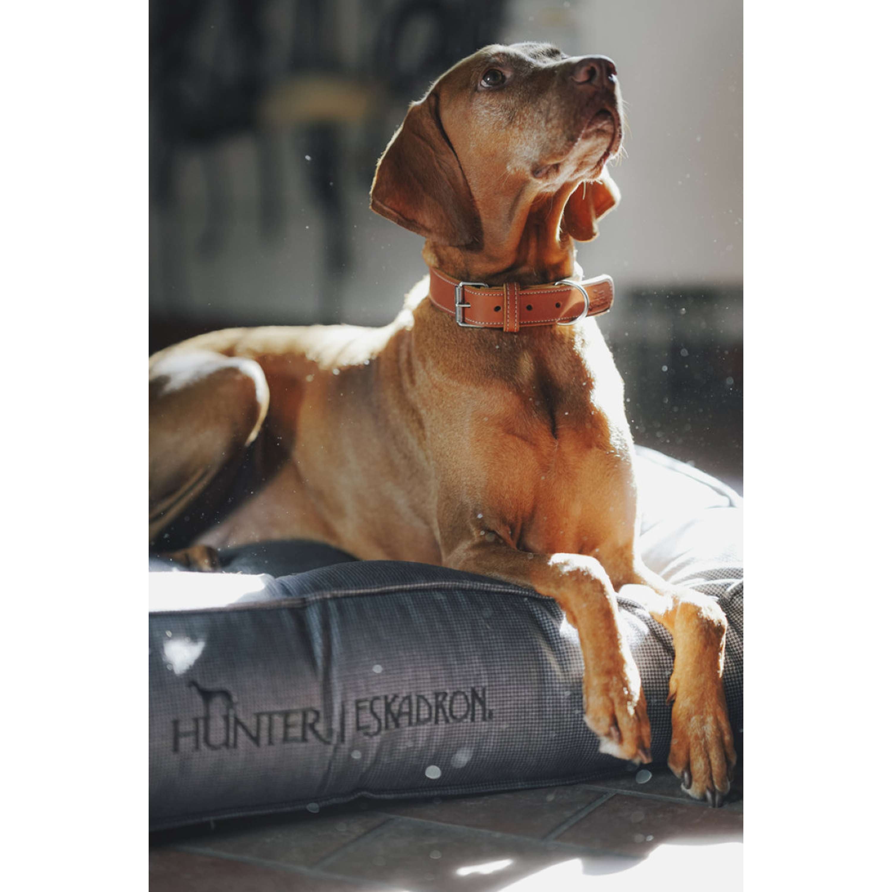 Hunter x Eskadron Hundebett Chester Anthrazit kariert