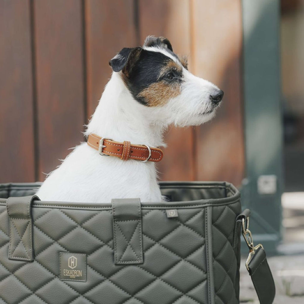 Hunter x Eskadron Hundehalsband Craft Cognac