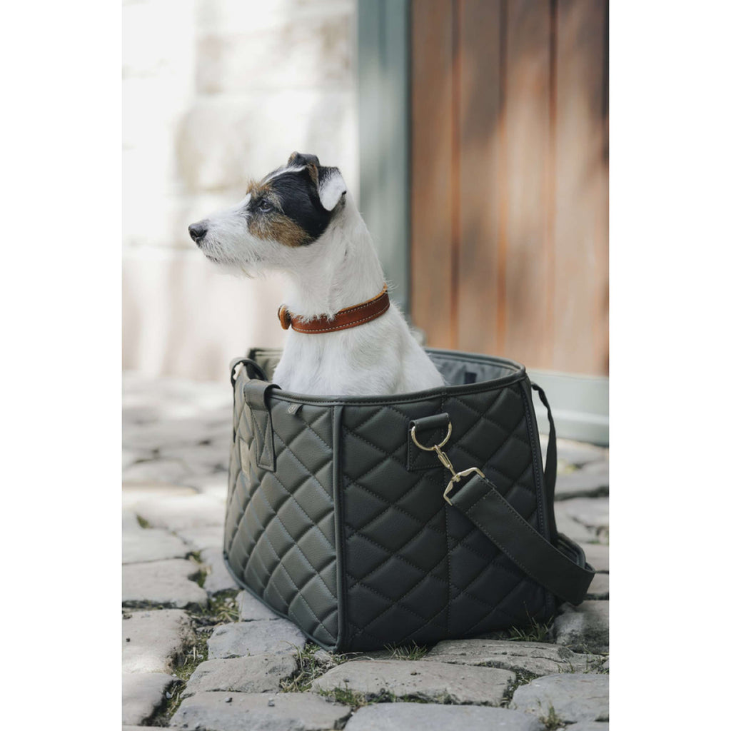 Hunter x Eskadron Hundehalsband Craft Cognac
