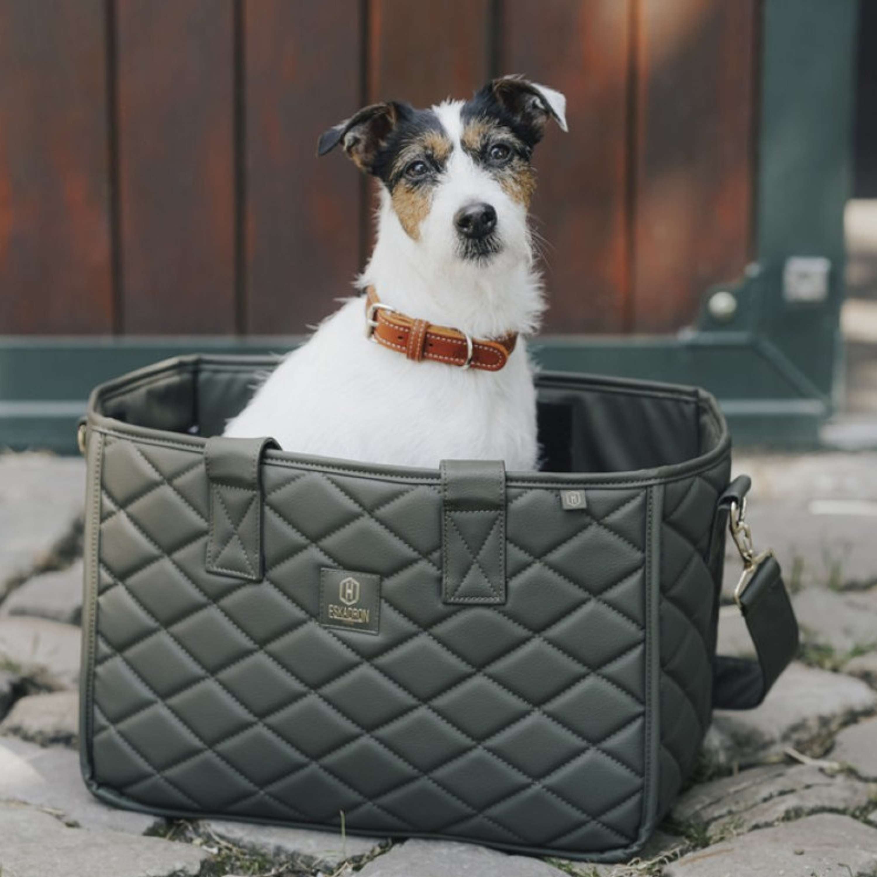 Hunter x Eskadron Hundehalsband Craft Cognac