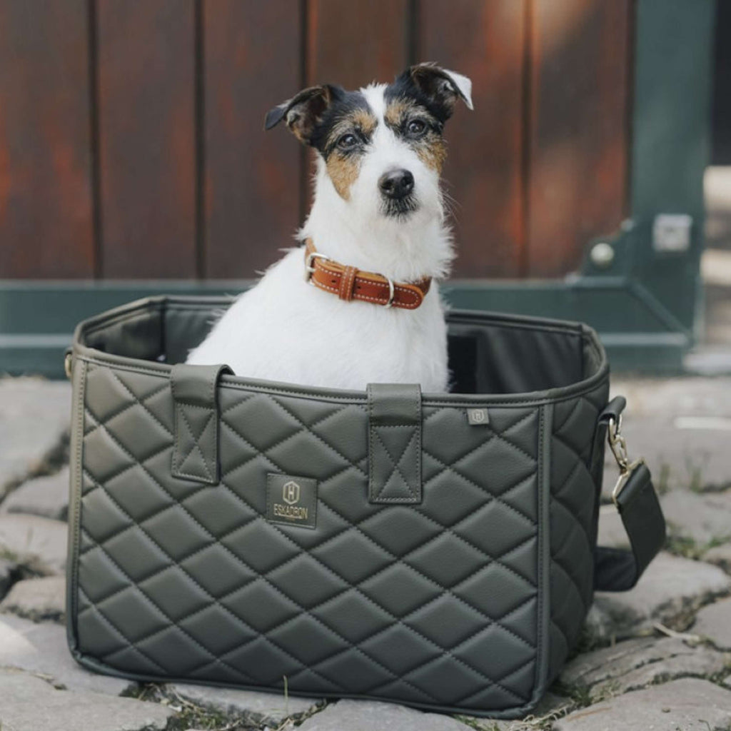 Hunter x Eskadron Hundehalsband Craft Cognac