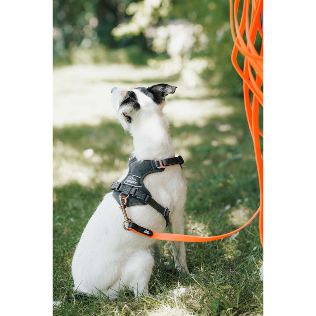 Hunter x Eskadron Hundegeschirr Motion Reflect Anthrazit