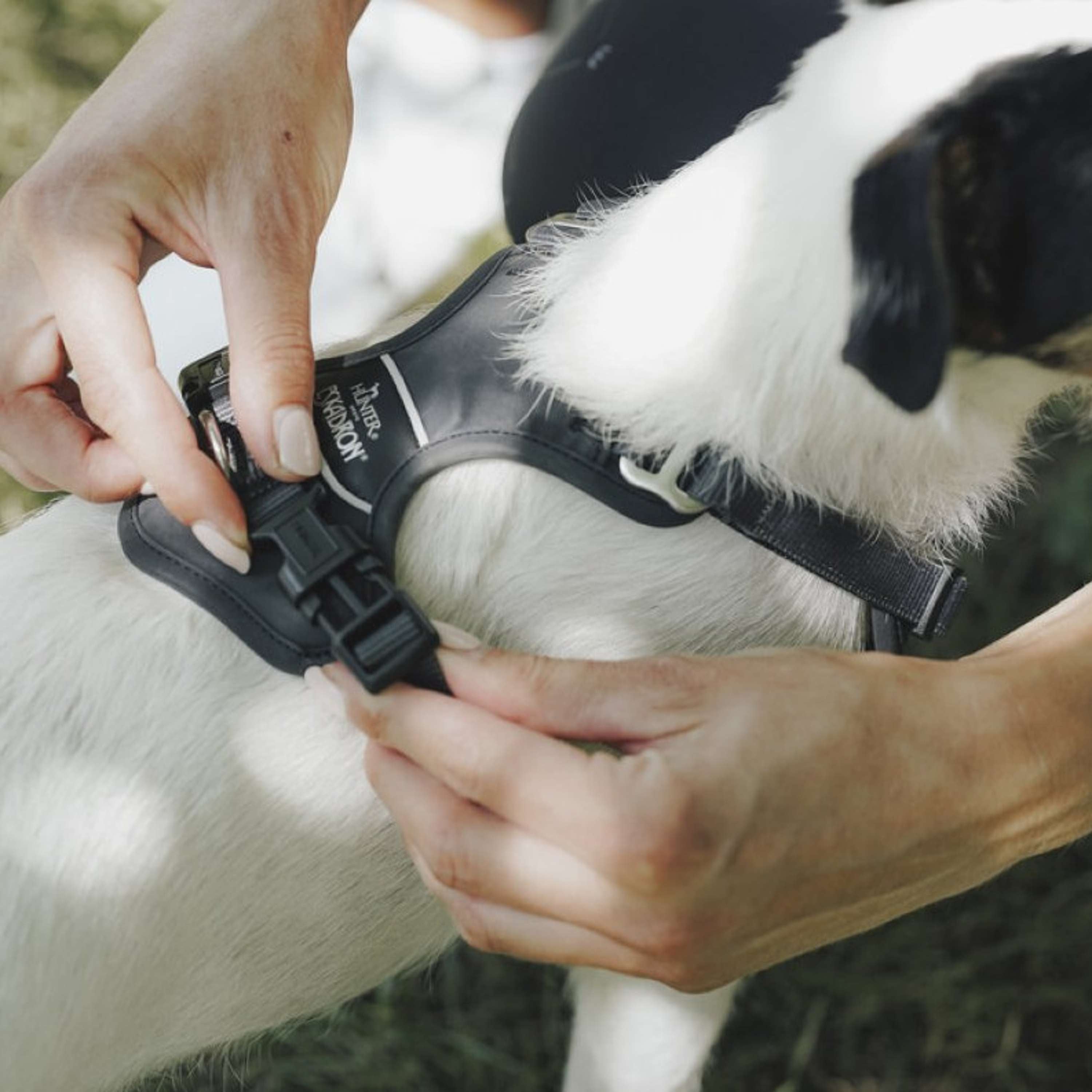 Hunter x Eskadron Hundegeschirr Motion Reflect Anthrazit