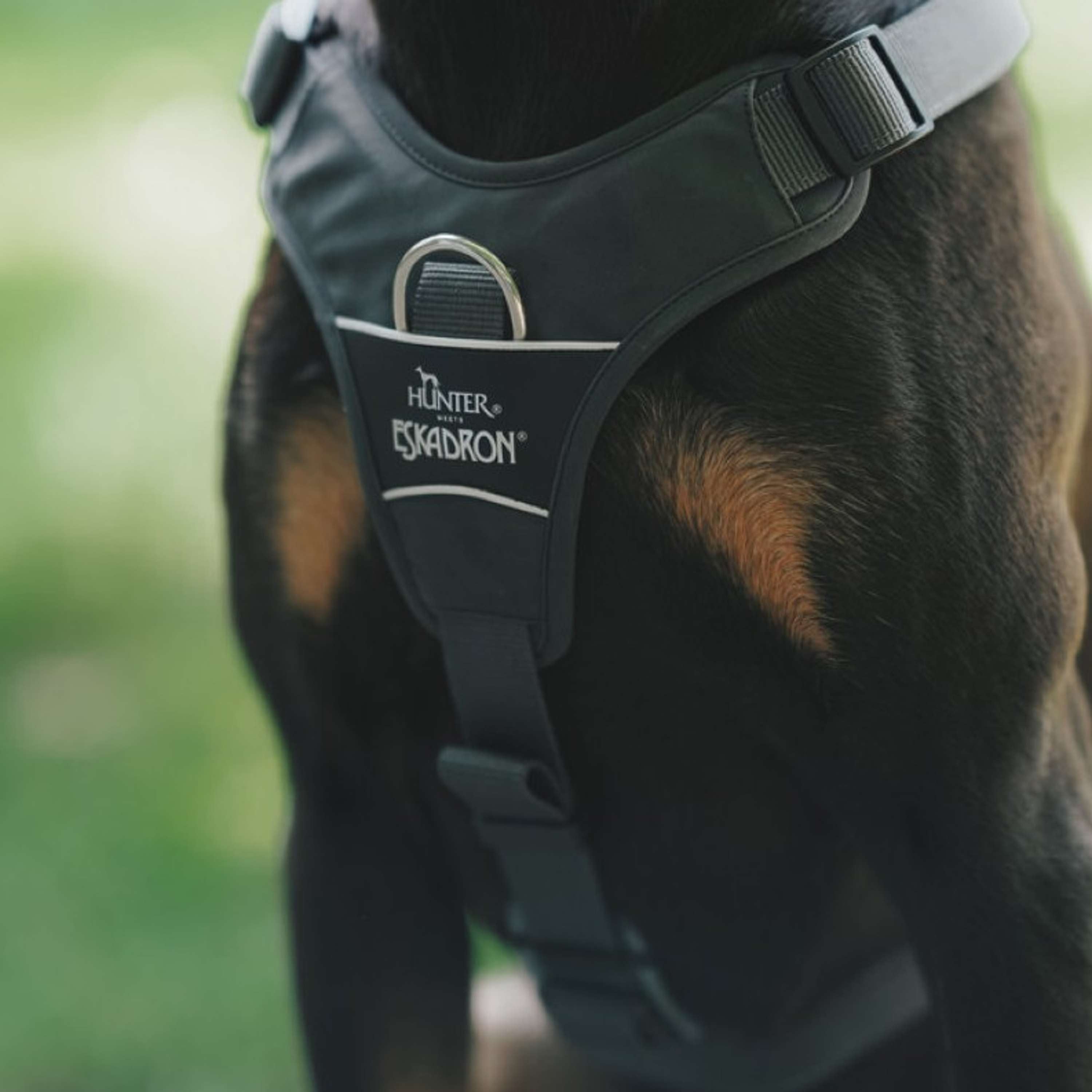 Hunter x Eskadron Hundegeschirr Motion Reflect Anthrazit