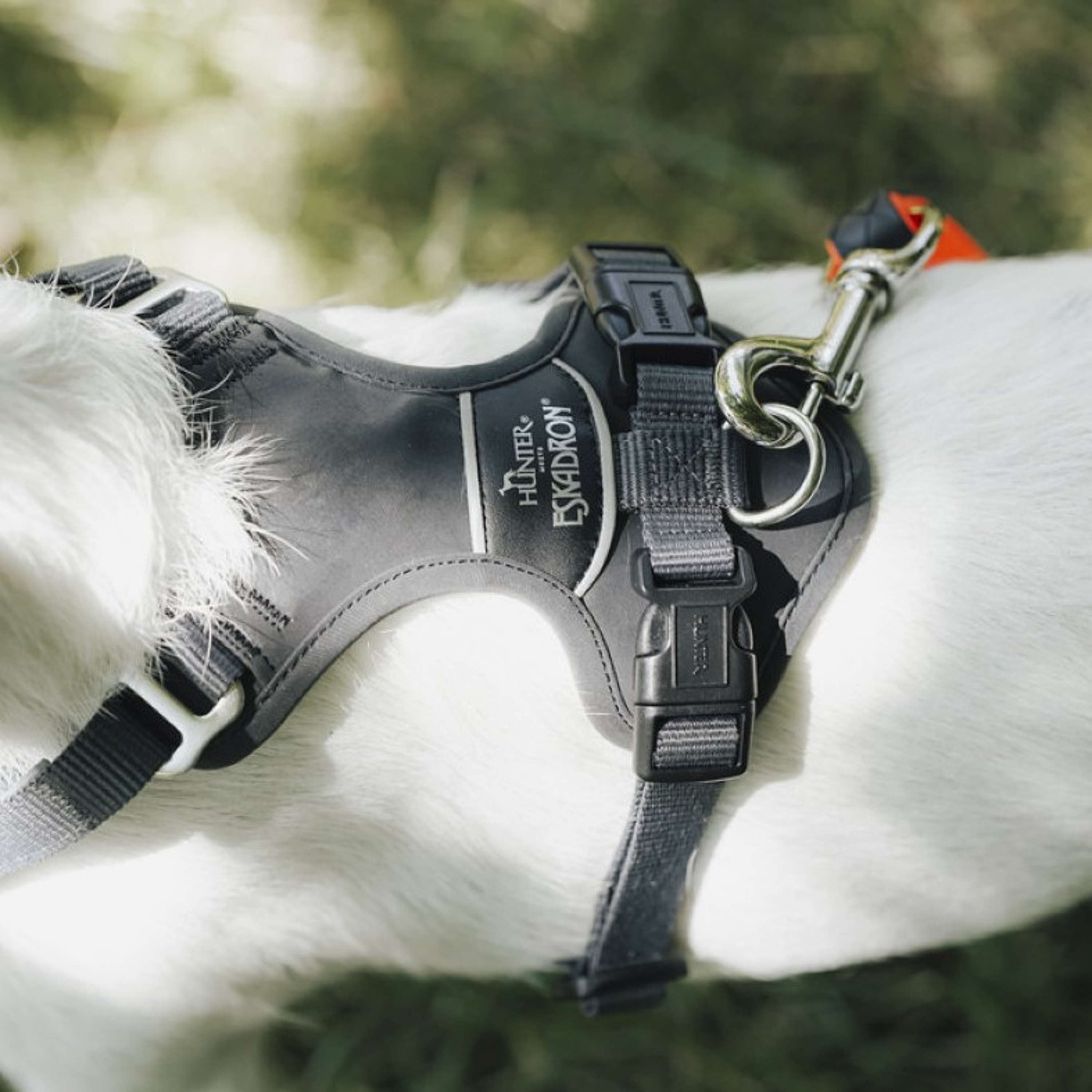 Hunter x Eskadron Hundegeschirr Motion Reflect Anthrazit