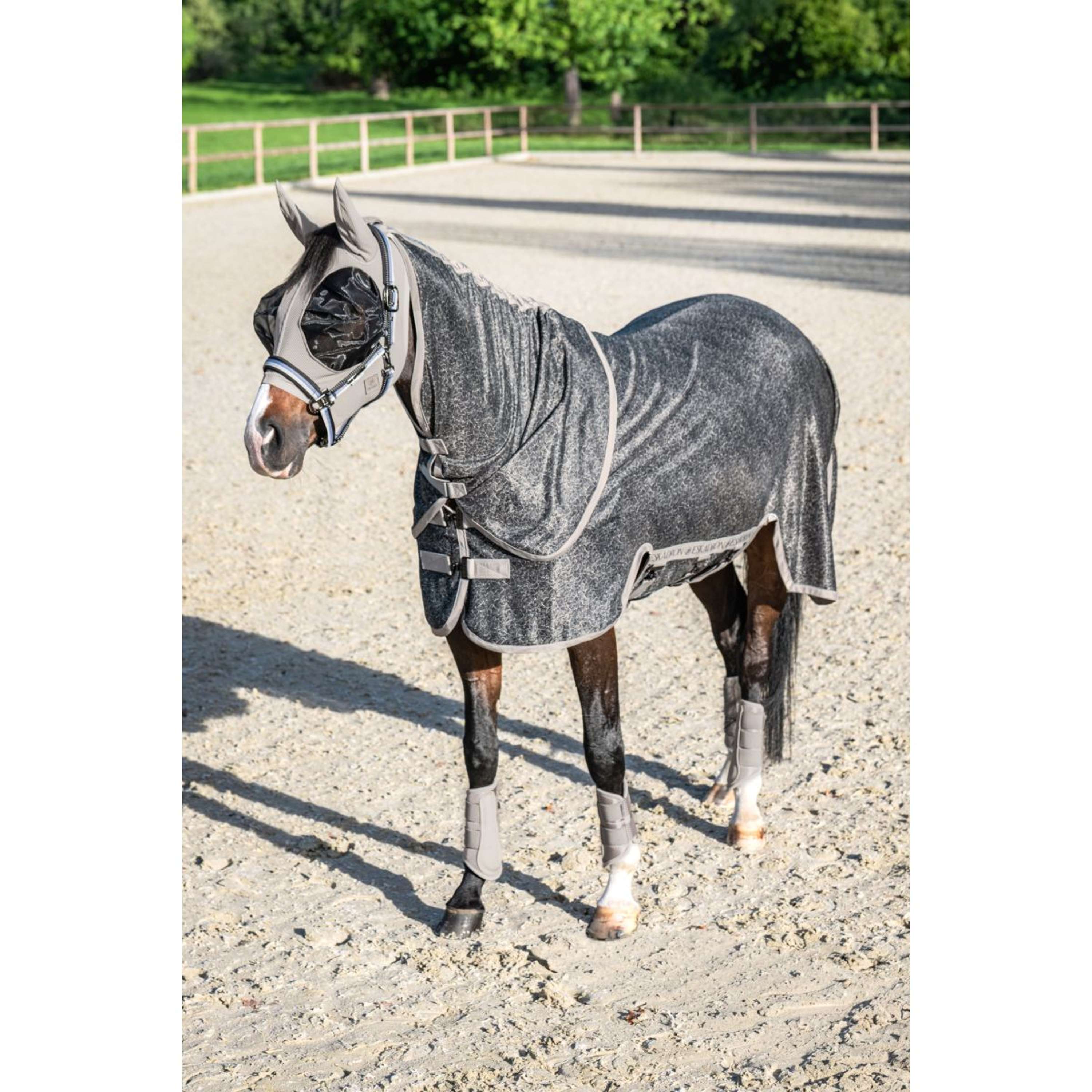Eskadron Fliegendecke Platinum '26 mit Abnehmbarem Hals Pale Grey