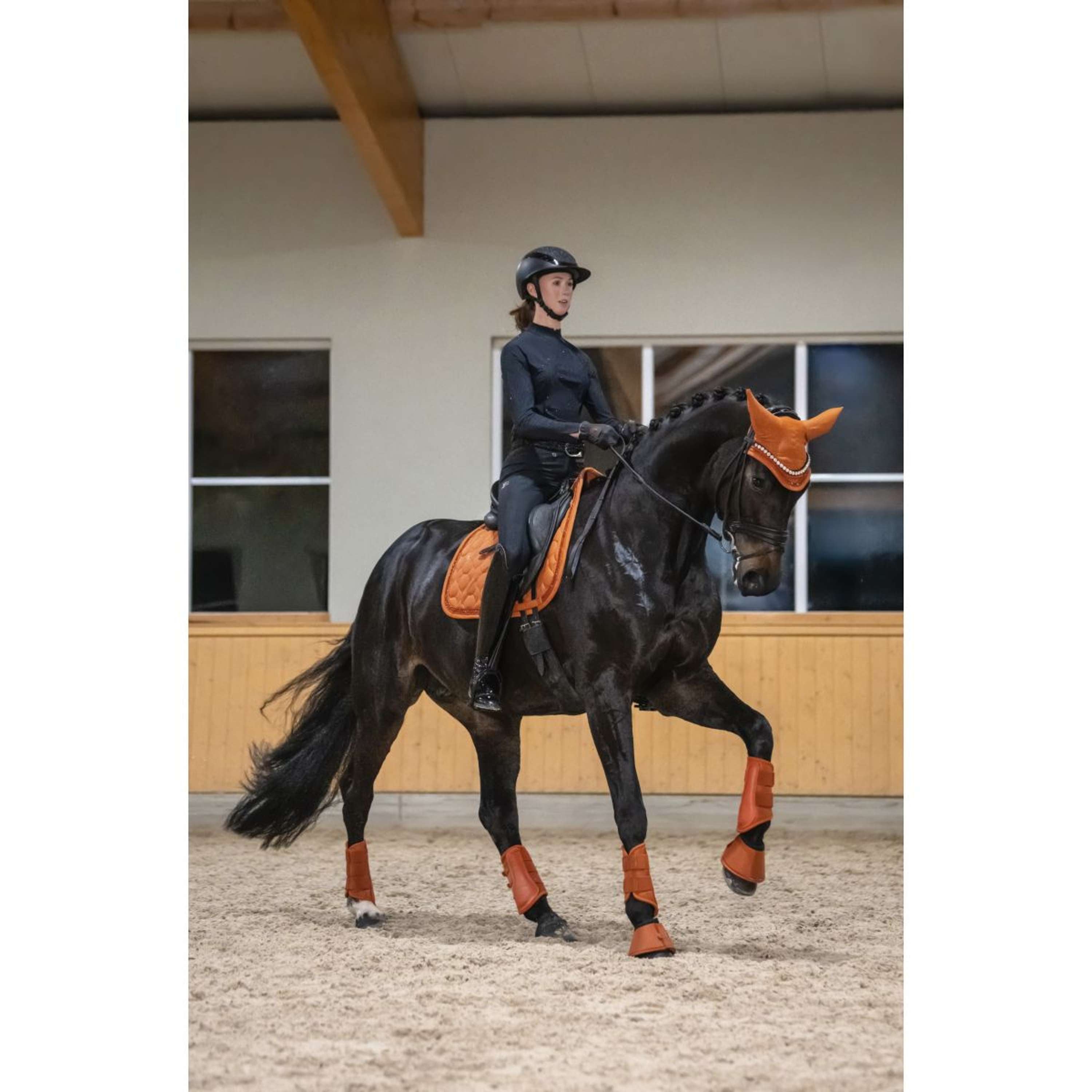 Eskadron Schabracke Platinum '26 Sparkle Jewel Dressur Amber