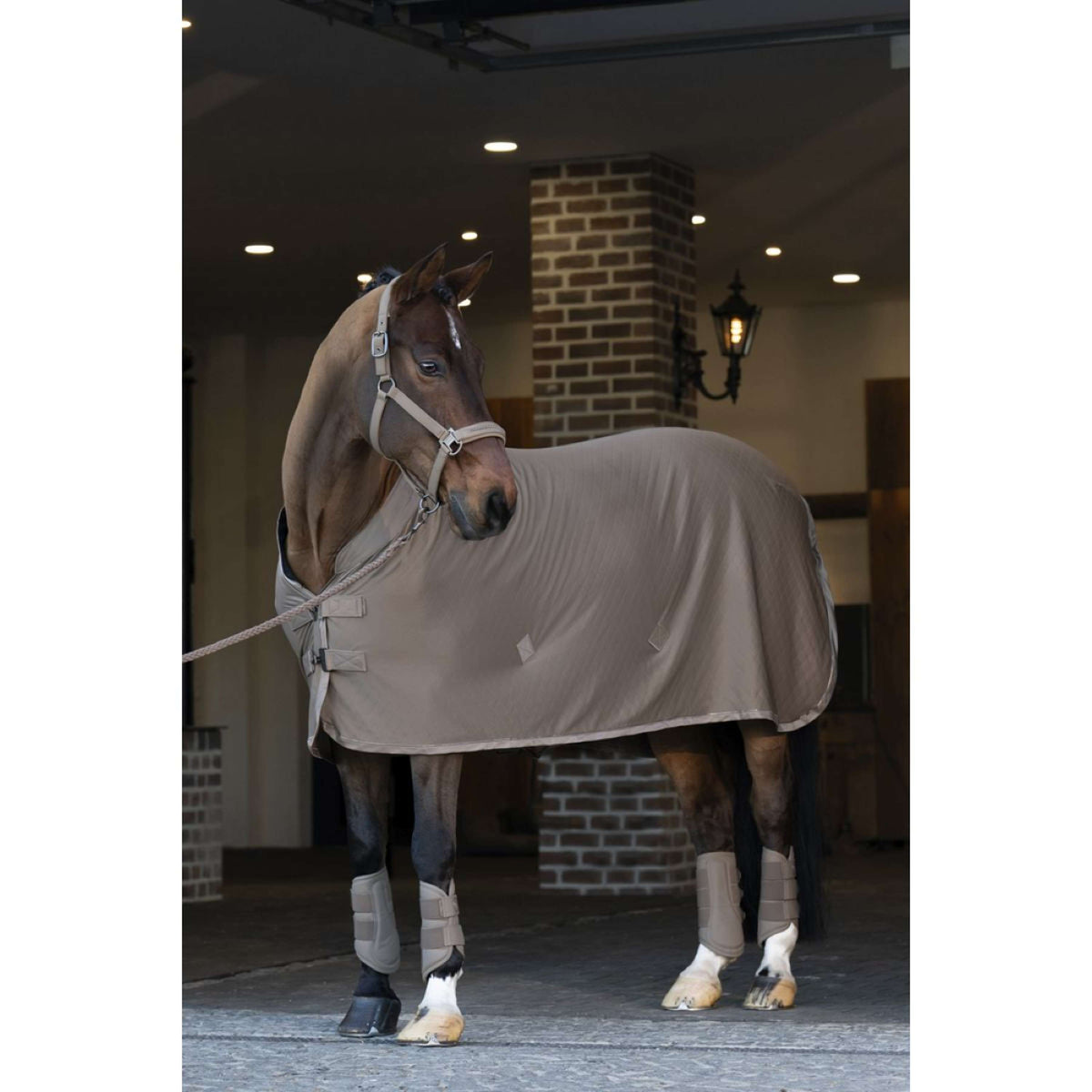 Eskadron Gamaschen Faux Leather Platinum '25 Smoky Taupe