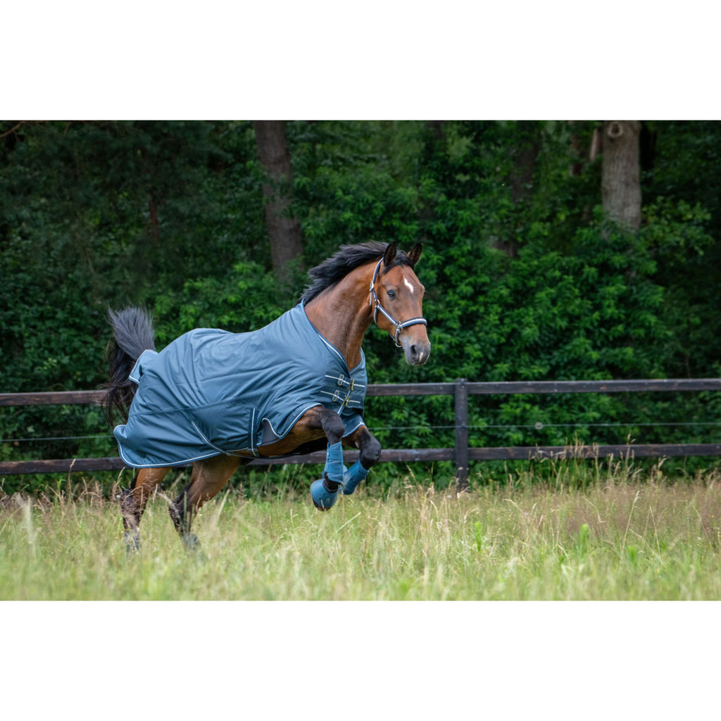 Eskadron Halfter Classic Sports Double Pin Ocean/Sierra/Navy