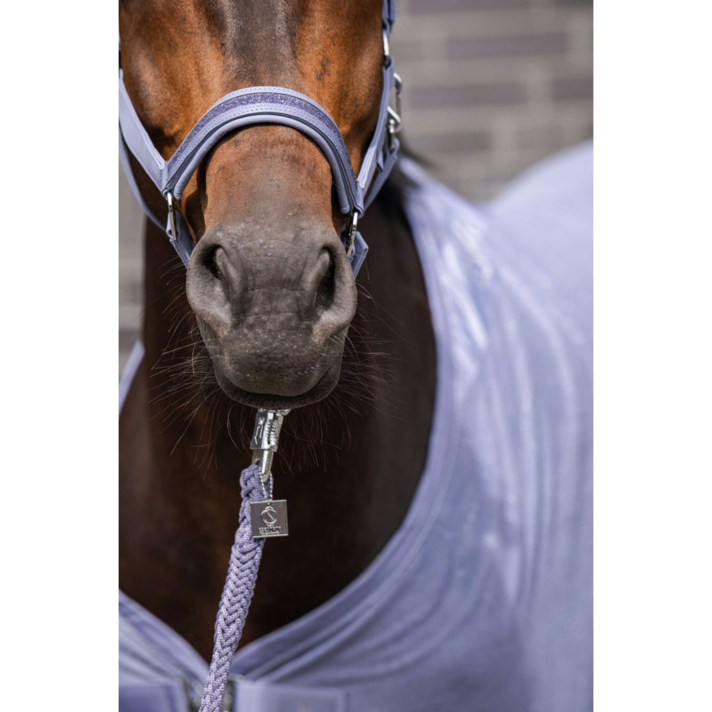 Eskadron Halfter Classic Sports Softshell Jewel Orchid