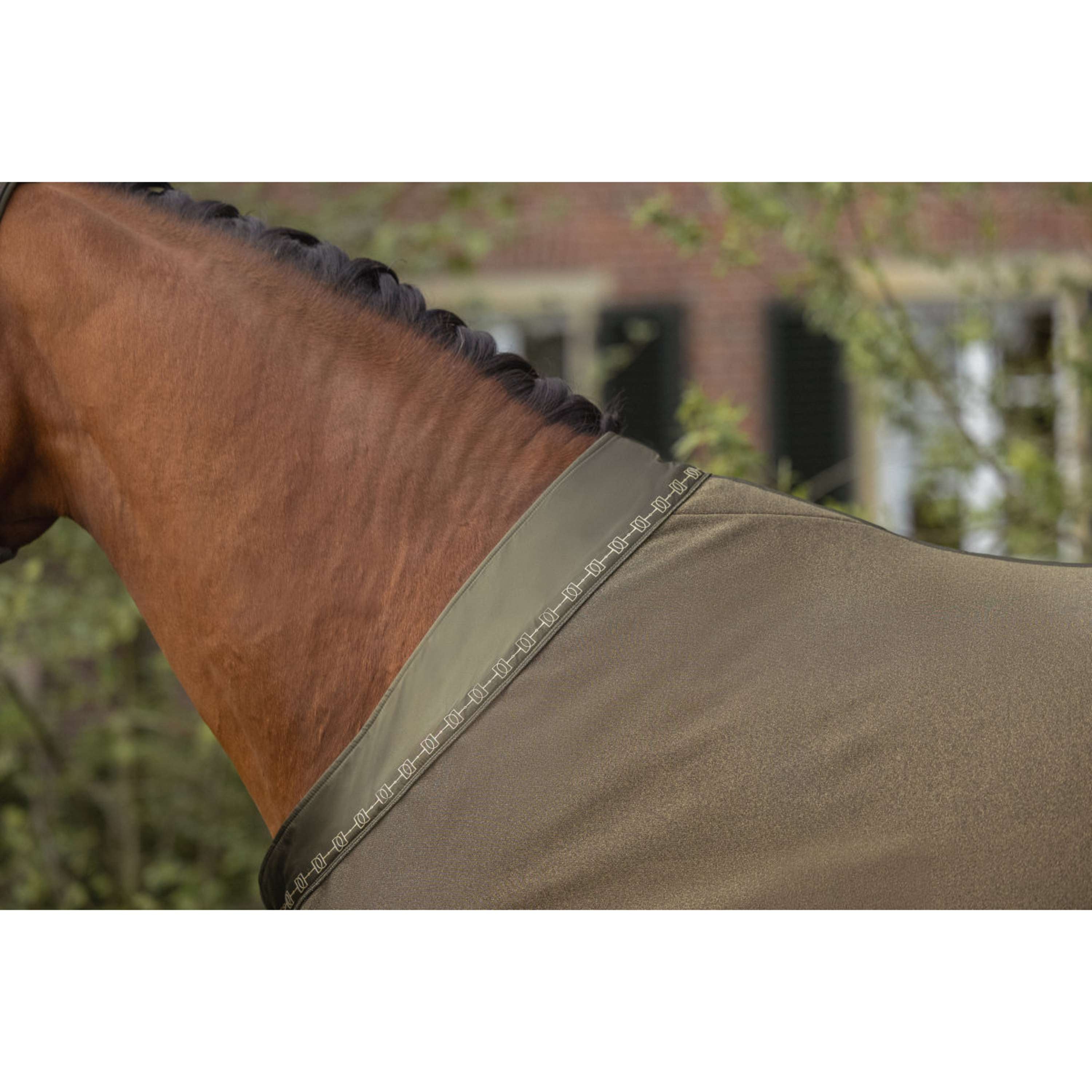 Eskadron Abschwitzdecke Heritage Jersey Sparkle Deep Moss