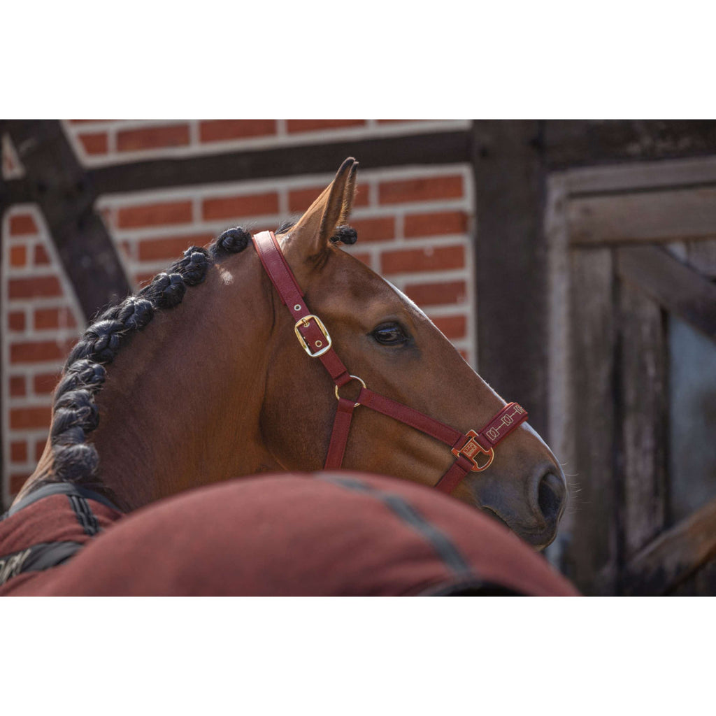 Eskadron Halfter Heritage Sparkle Double Pin Merlot