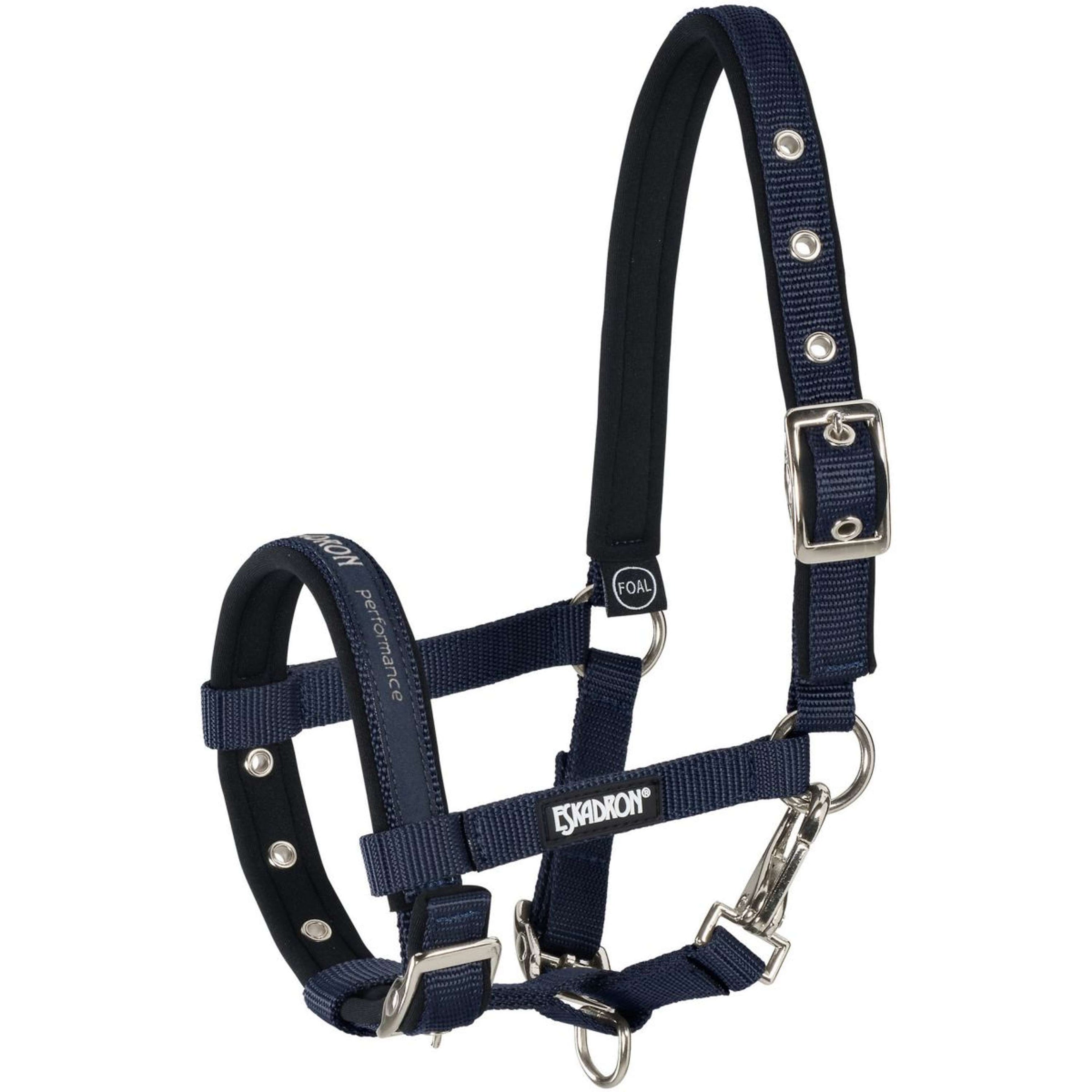 Eskadron Fohlenhalfter New Nightblue Eskadron Fohlenhalfter New Nightblue