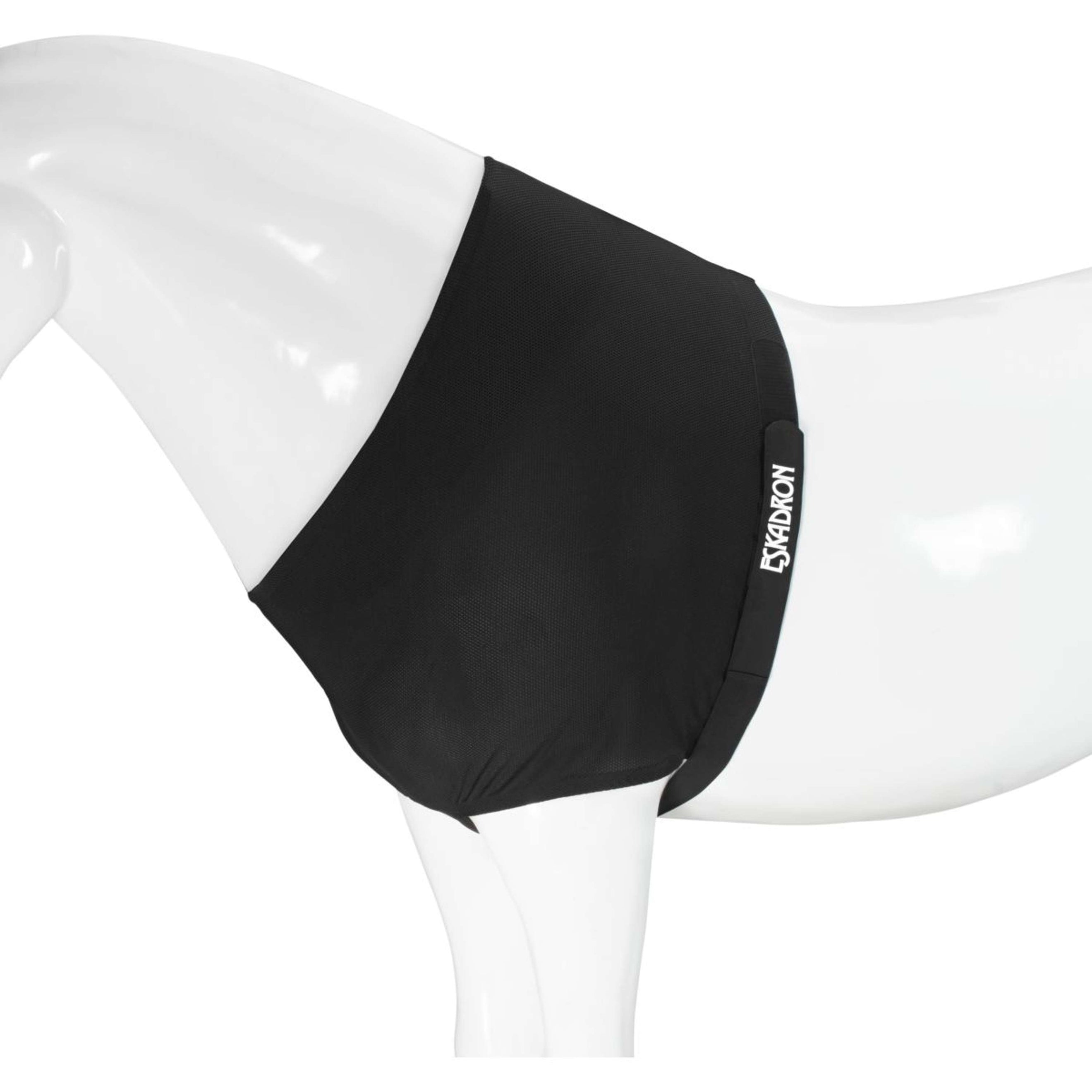 Eskadron Brustschutz DynAirMesh Schwarz