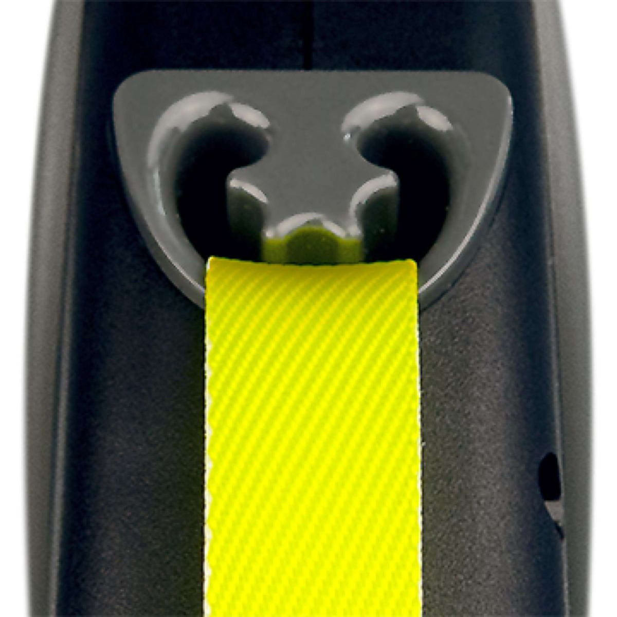 Flexi Giant Neon Schwarz