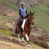 Aubrion by Shires Weste Original Fleece Blau