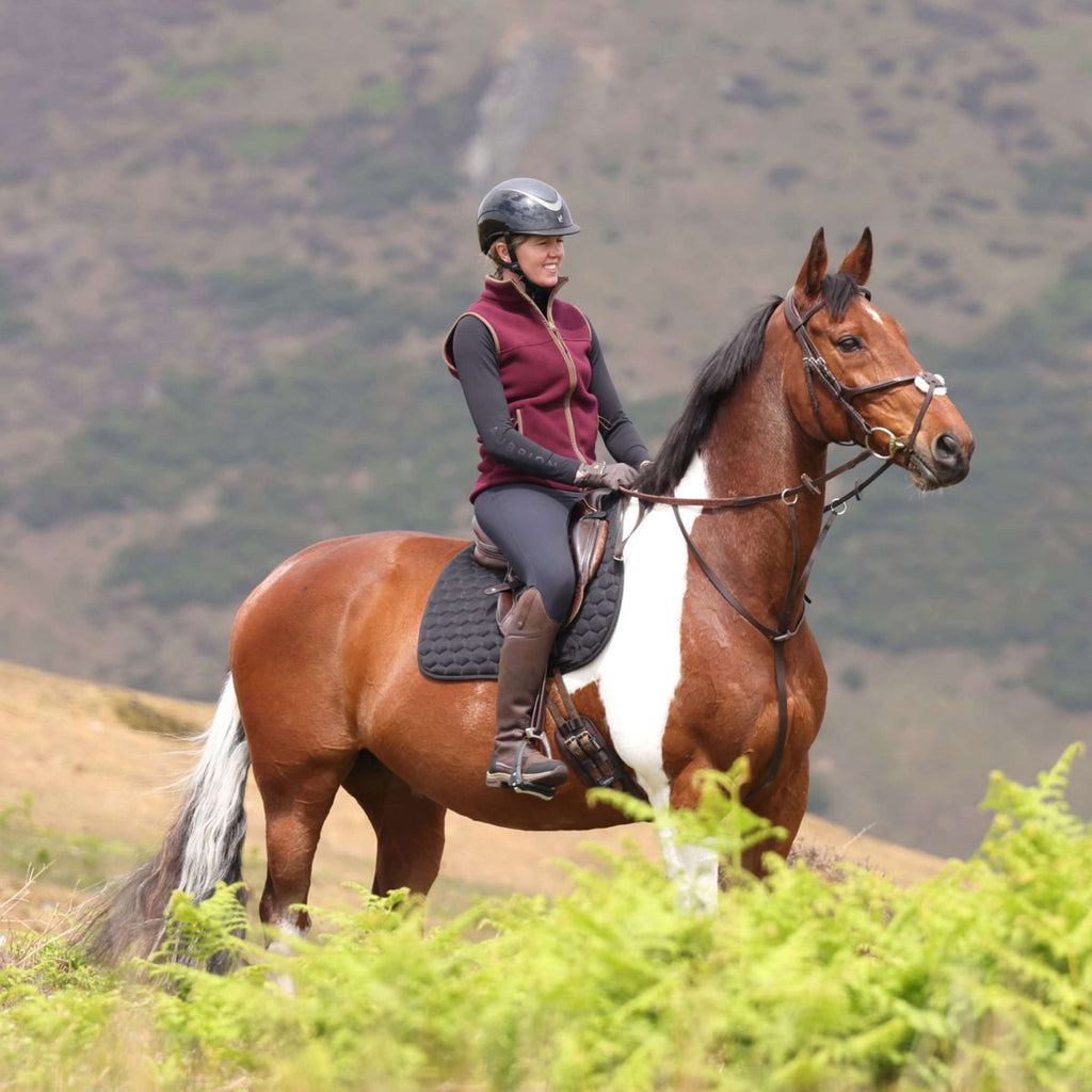 Aubrion by Shires Weste Original Fleece Maroon